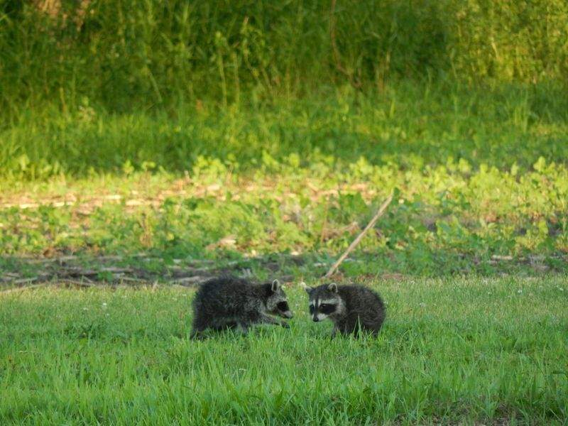 初めての方向け飼育スタートセット提案